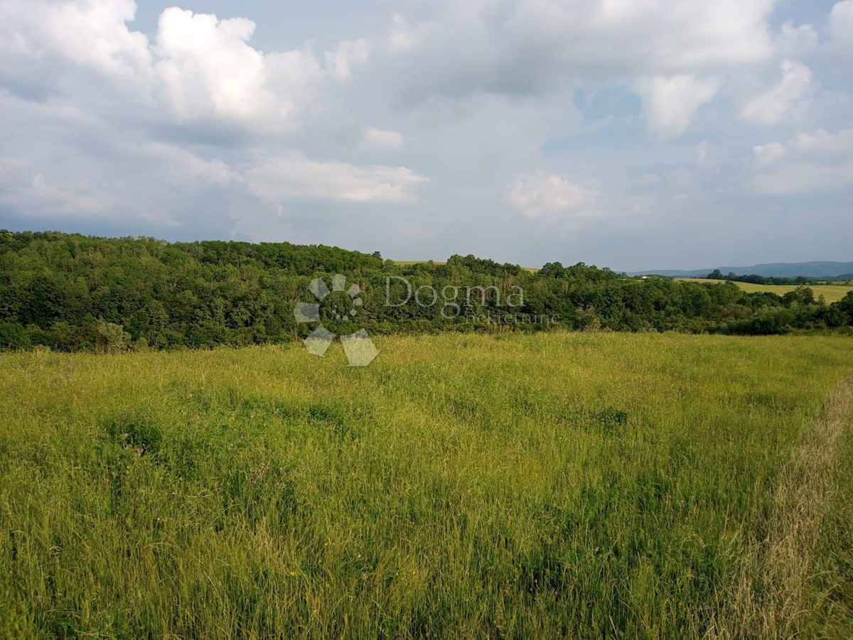 Zemljišče Nova Ljeskovica, Čaglin, 12.033m2