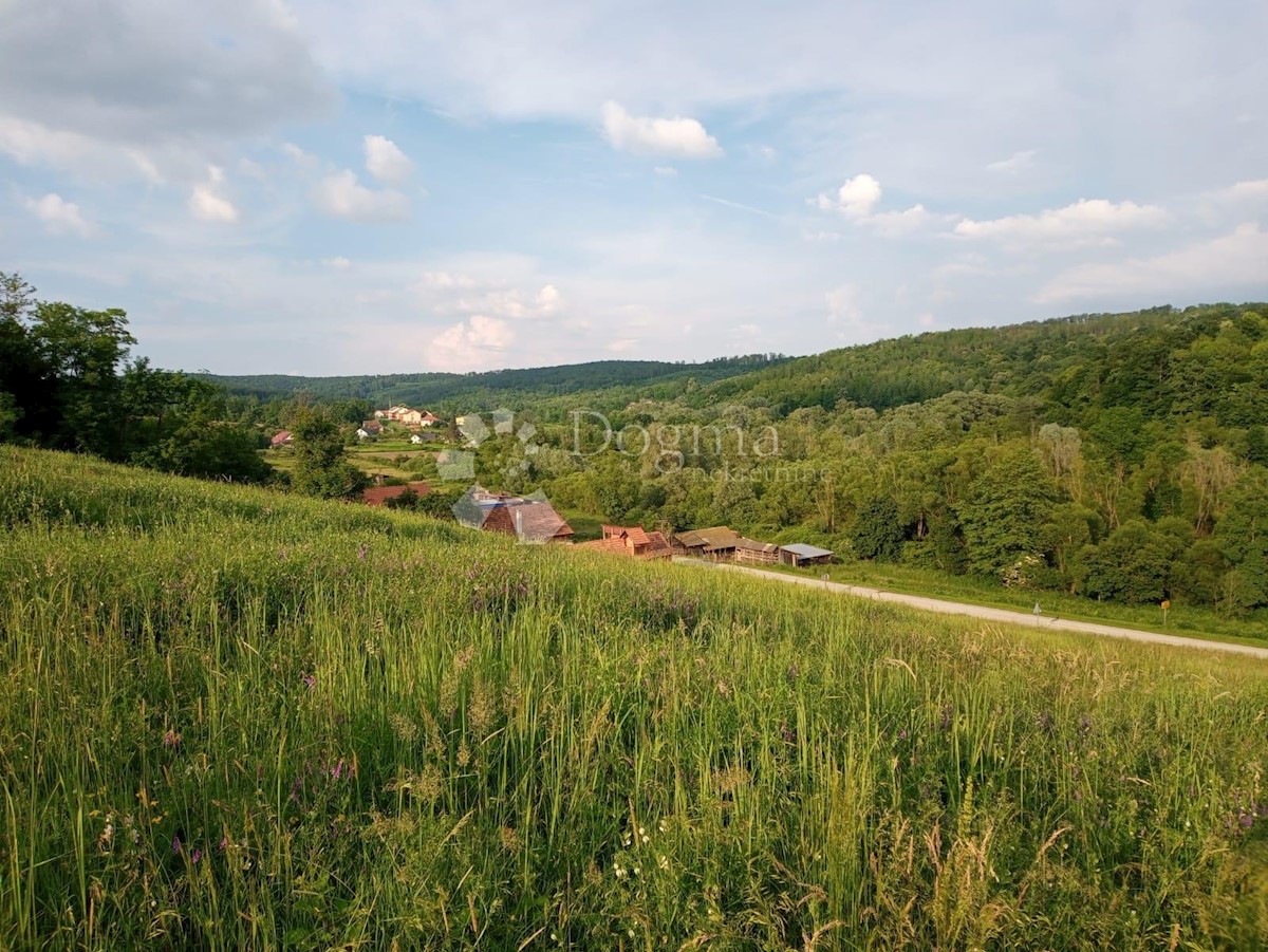 Zemljišče Nova Ljeskovica, Čaglin, 12.033m2