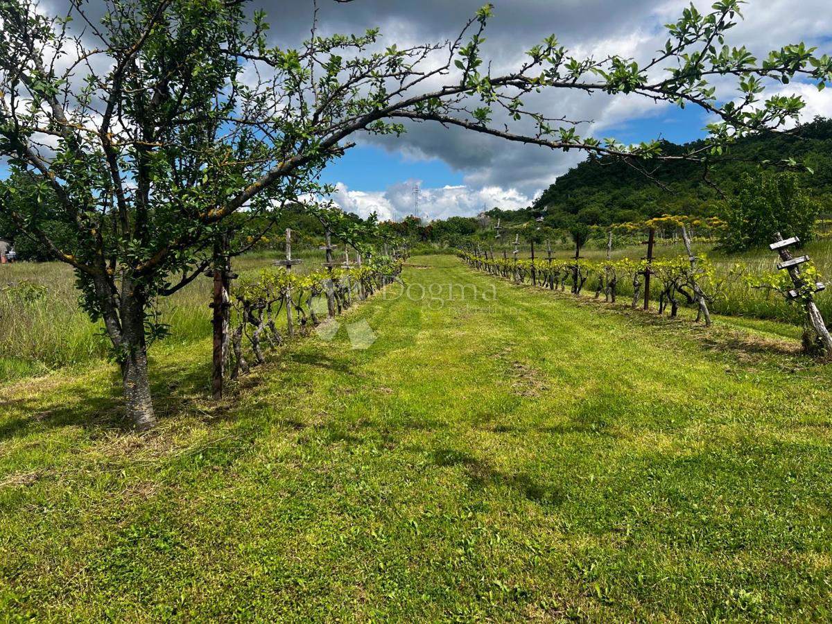 Zemljišče Labin, 1.000m2