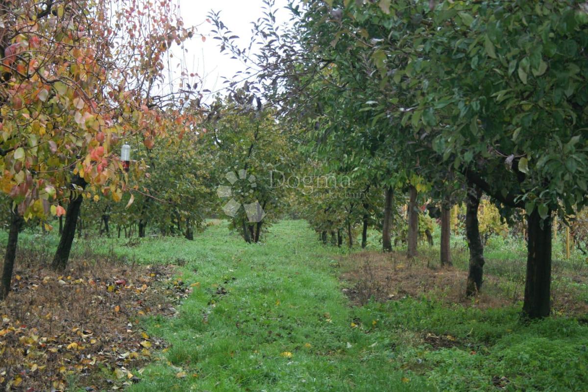 Hiša Gornja Gračenica, Popovača, 15m2