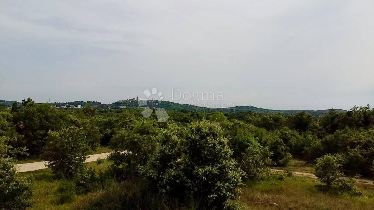 Zemljišče Buje, 1.000m2