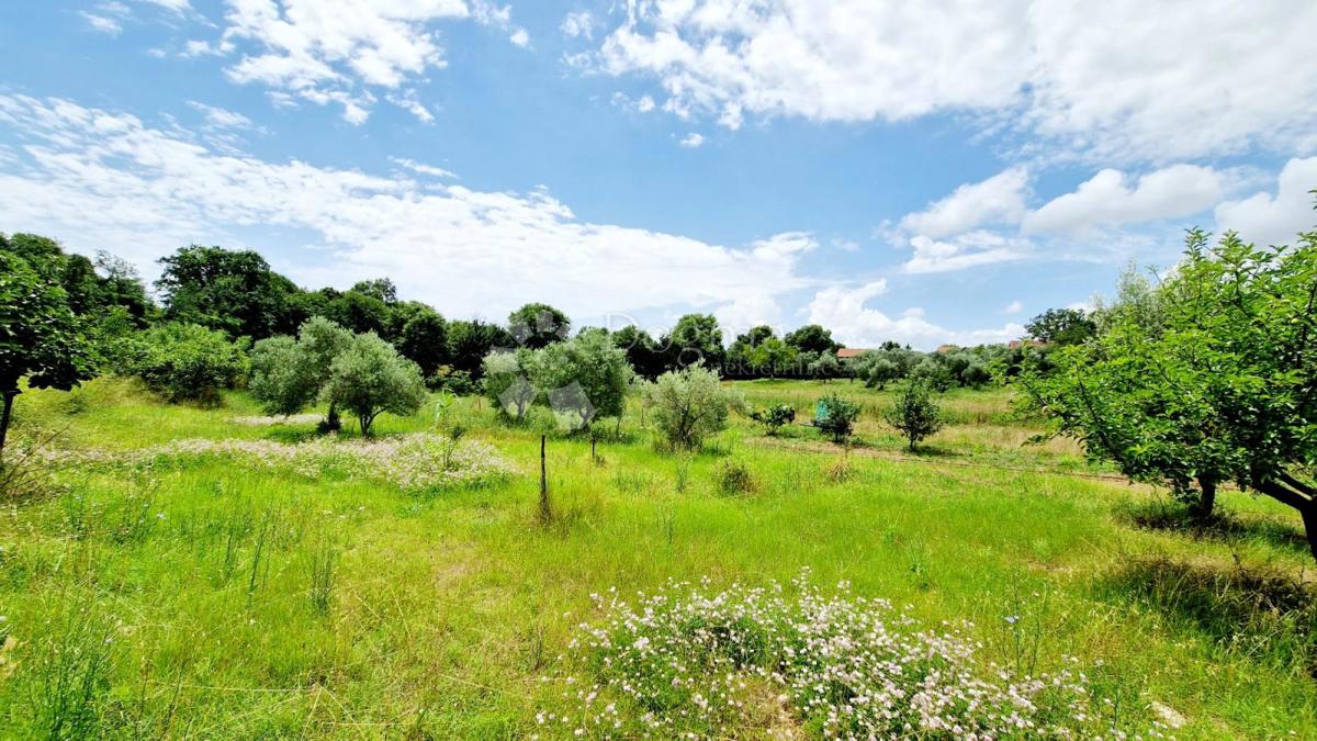 Hiša Mali Vareški, Marčana, 63m2