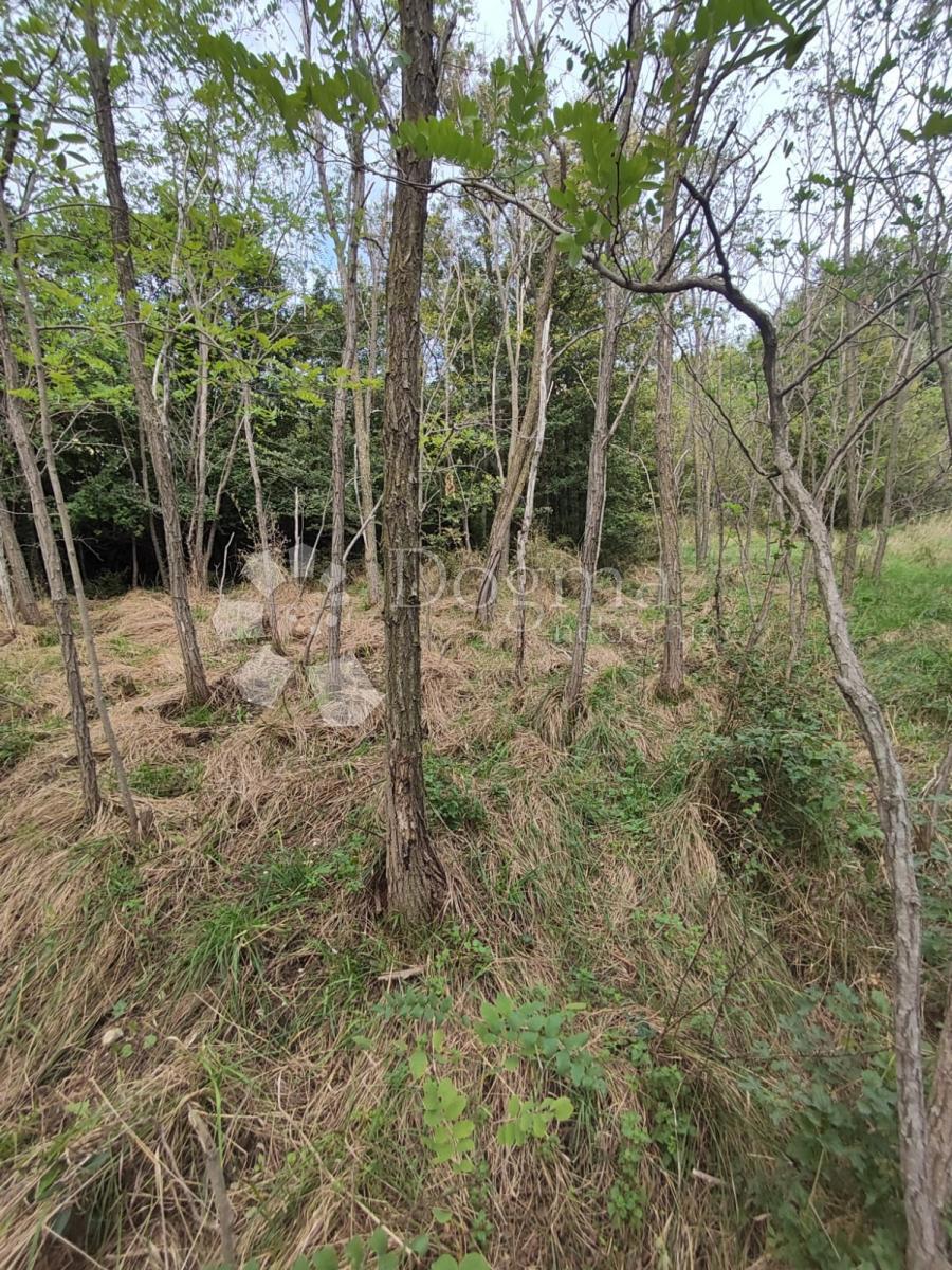 Zemljišče Grižane-Belgrad, Vinodolska Općina, 777m2