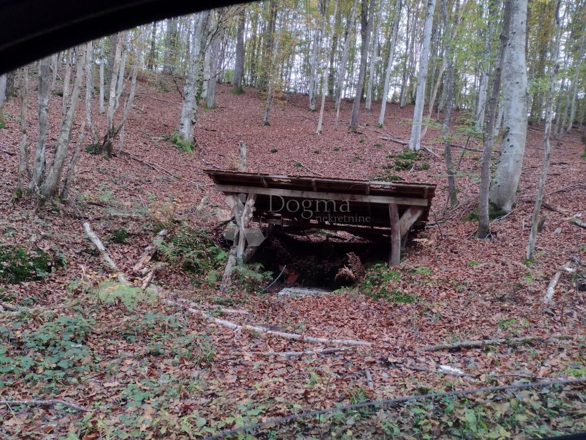 Hiša Blatuša, Gvozd, 100m2