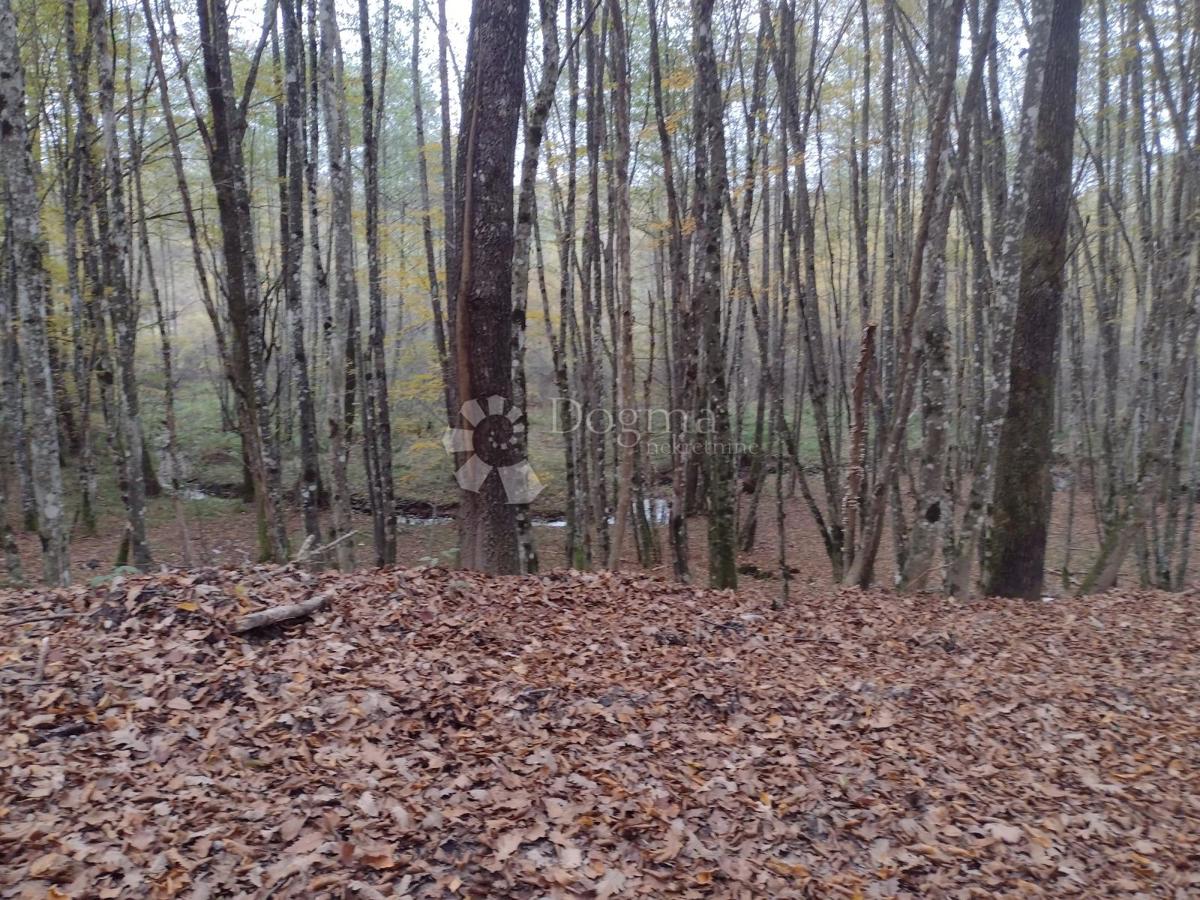 Hiša Blatuša, Gvozd, 100m2