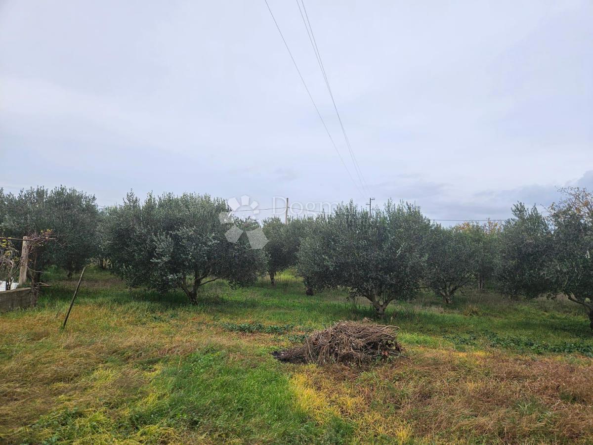 Hiša Polača, 88m2