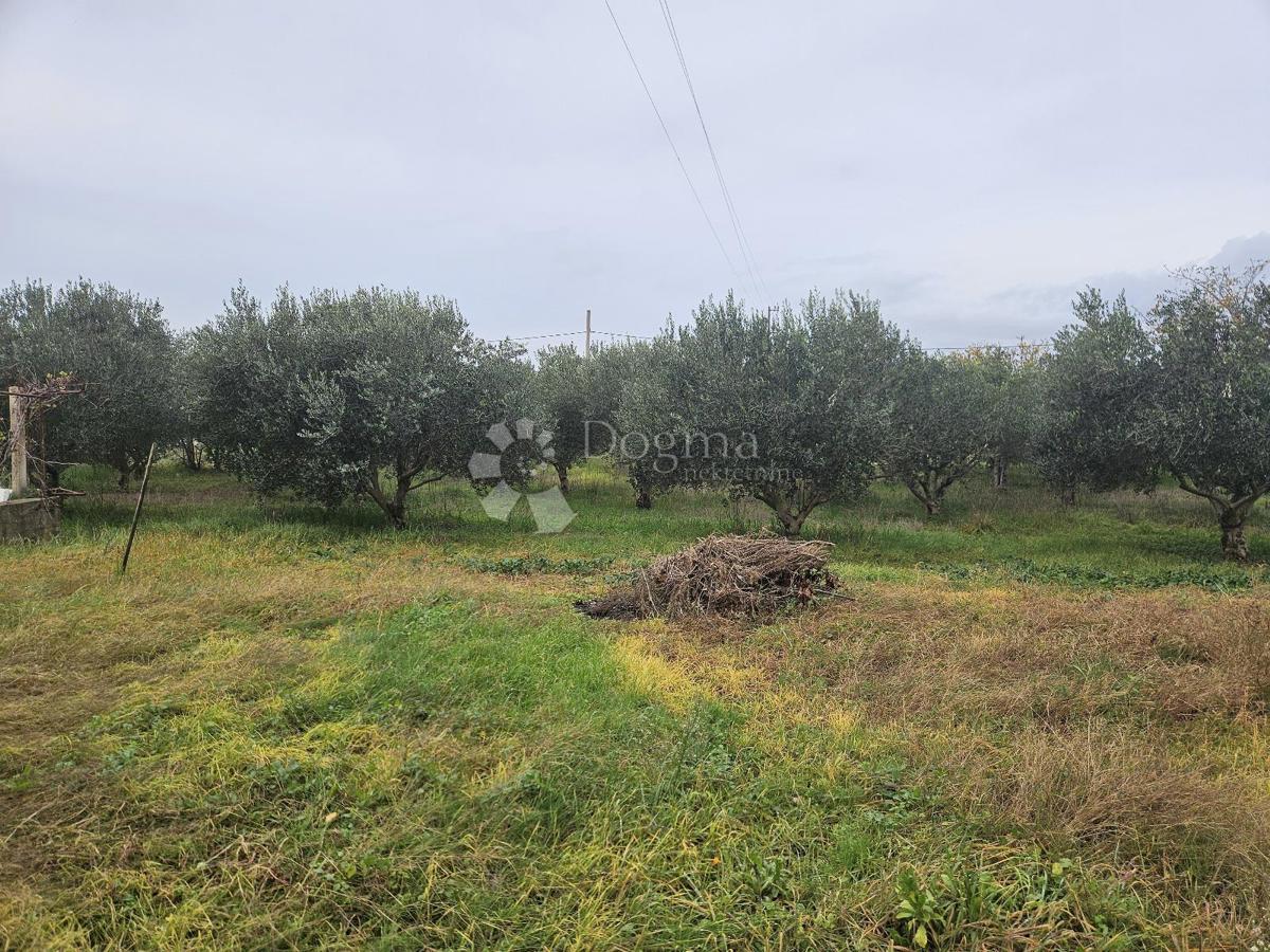 Hiša Polača, 88m2
