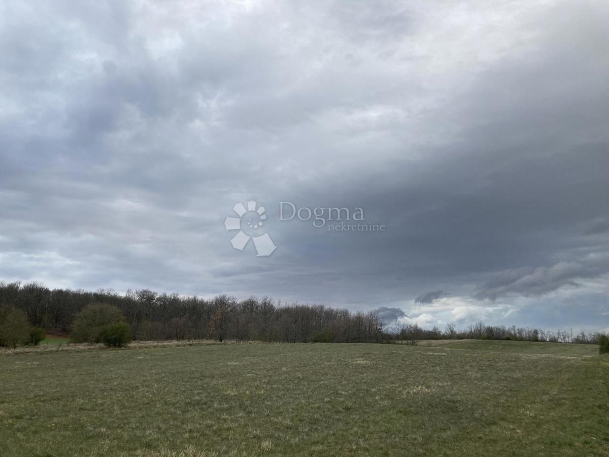 Kmetijsko zemljišče Buje, Buje, Buje, Istarska županija, 4.989m2