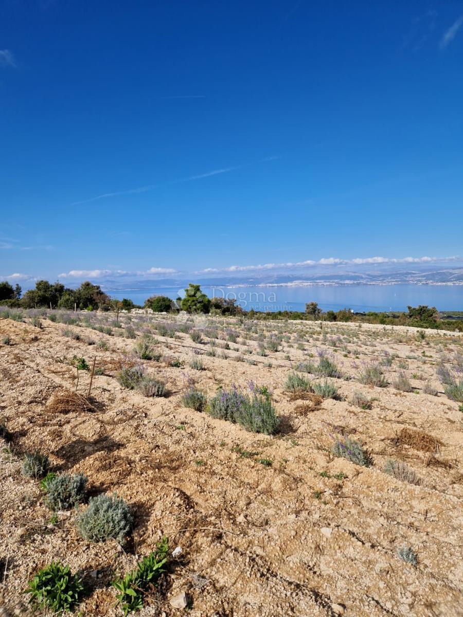 Kmetijsko zemljišče Donji Humac, Nerežišća, 10.600m2