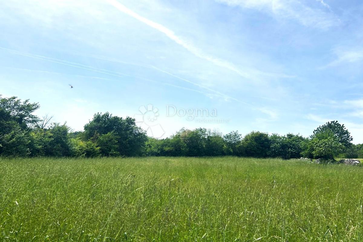 Zemljišče Orihi, Barban, 3.020m2