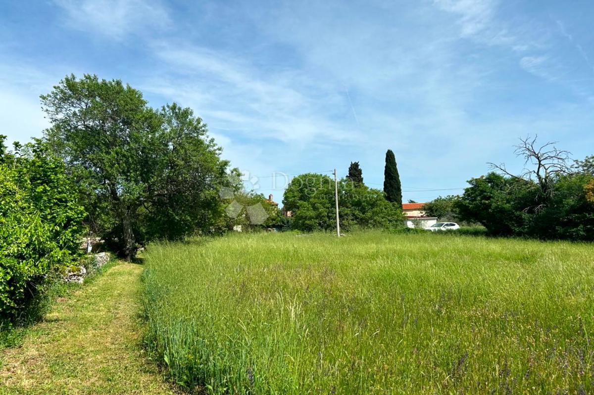 Zemljišče Orihi, Barban, 3.020m2