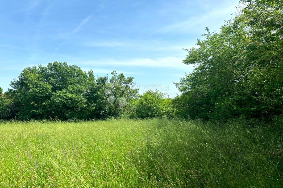 Zemljišče Orihi, Barban, 3.020m2