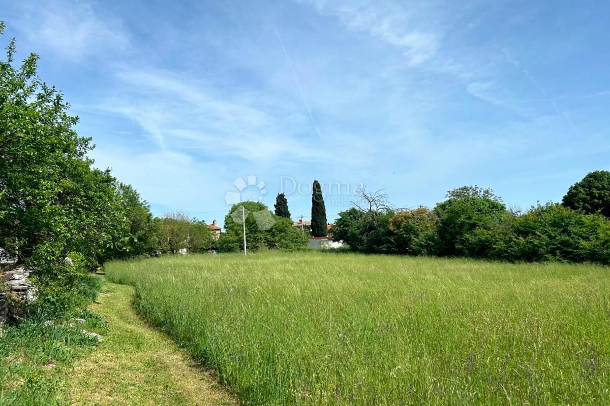 Zemljišče Orihi, Barban, 3.020m2