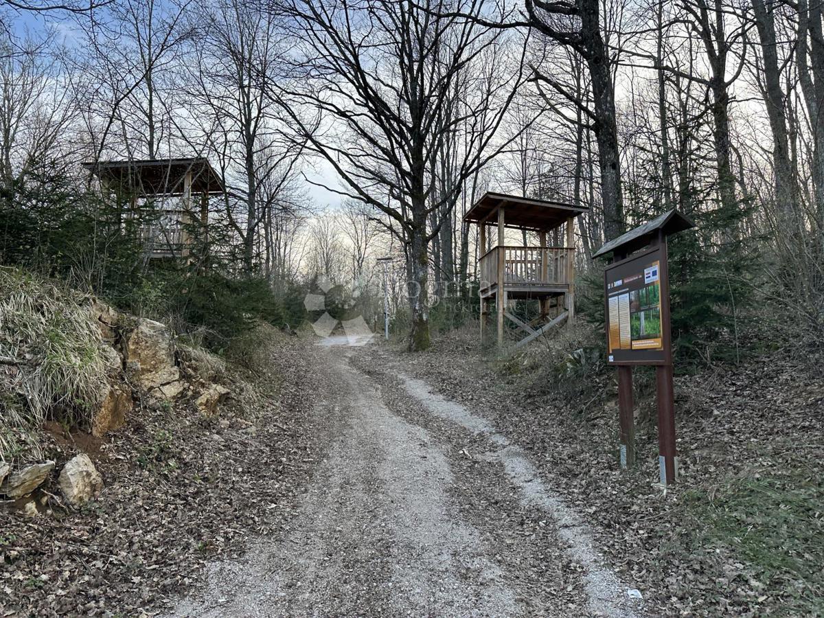 Kmetijsko zemljišče Centar, Gospić, 48.000m2