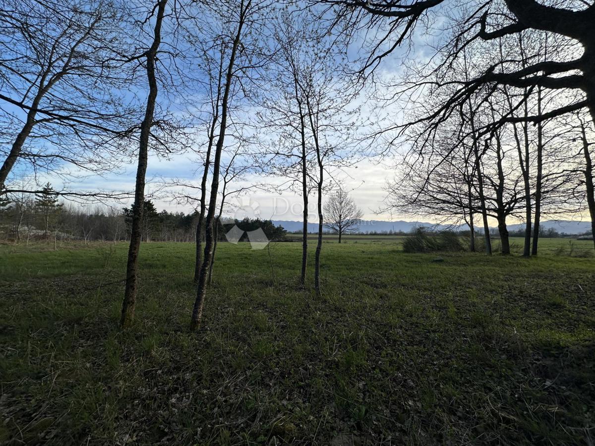 Kmetijsko zemljišče Centar, Gospić, 48.000m2