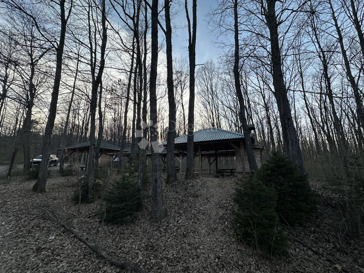 Kmetijsko zemljišče Centar, Gospić, 48.000m2