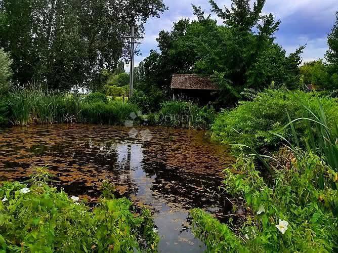 Hiša Suza, Kneževi Vinogradi, 214m2
