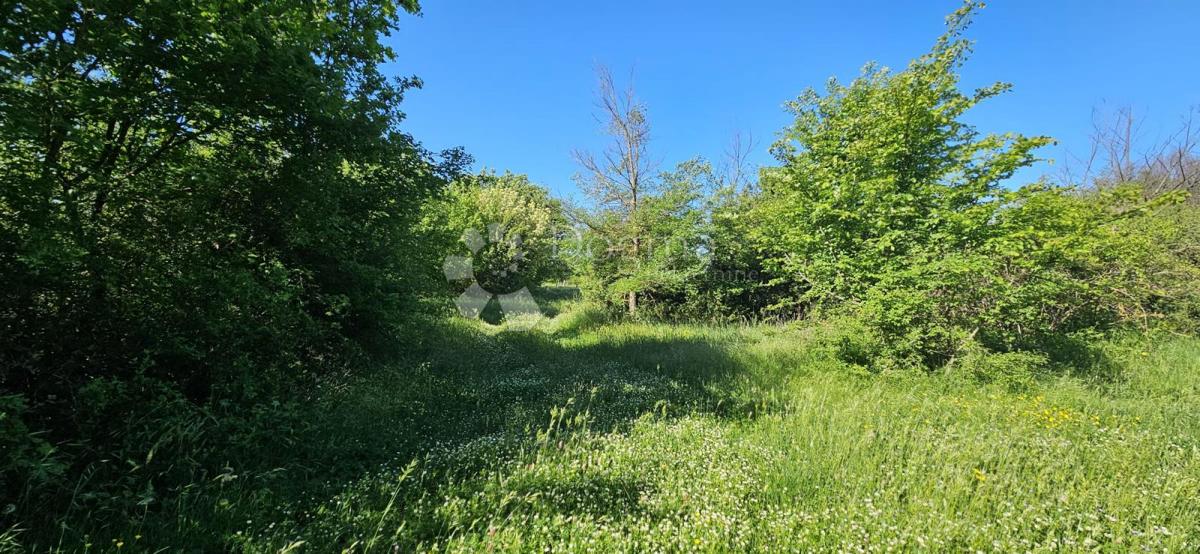 Kmetijsko zemljišče Svetvinčenat, 1.314m2