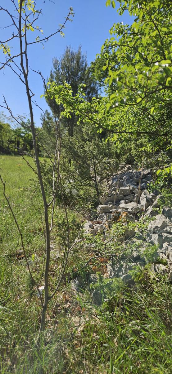 Kmetijsko zemljišče Svetvinčenat, 1.314m2