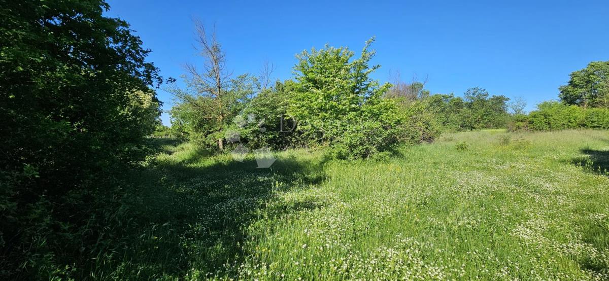 Kmetijsko zemljišče Svetvinčenat, 1.314m2