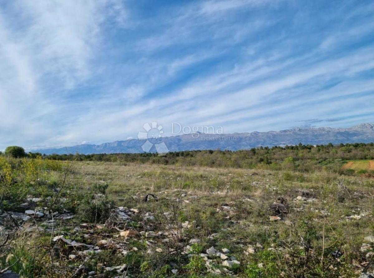 Zazidljivo zemljišče Pridraga, Novigrad, 510m2