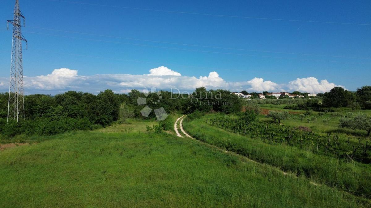Zazidljivo zemljišče Poreč, 702m2