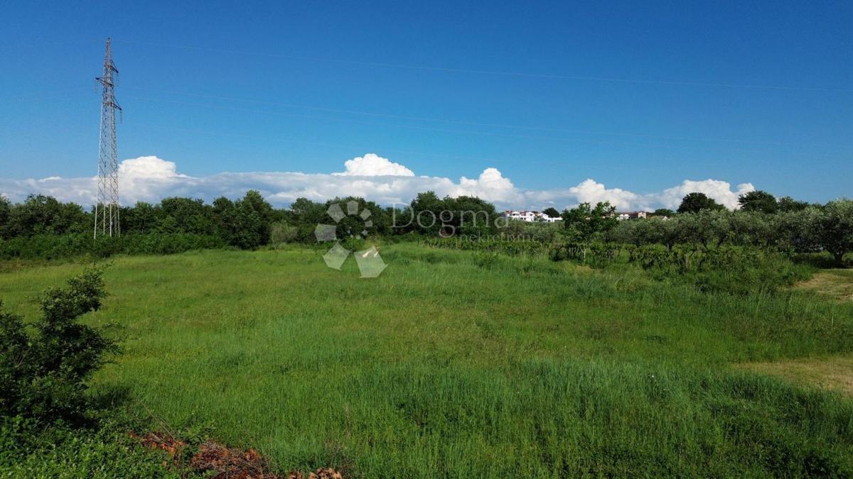 Zazidljivo zemljišče Poreč, 702m2