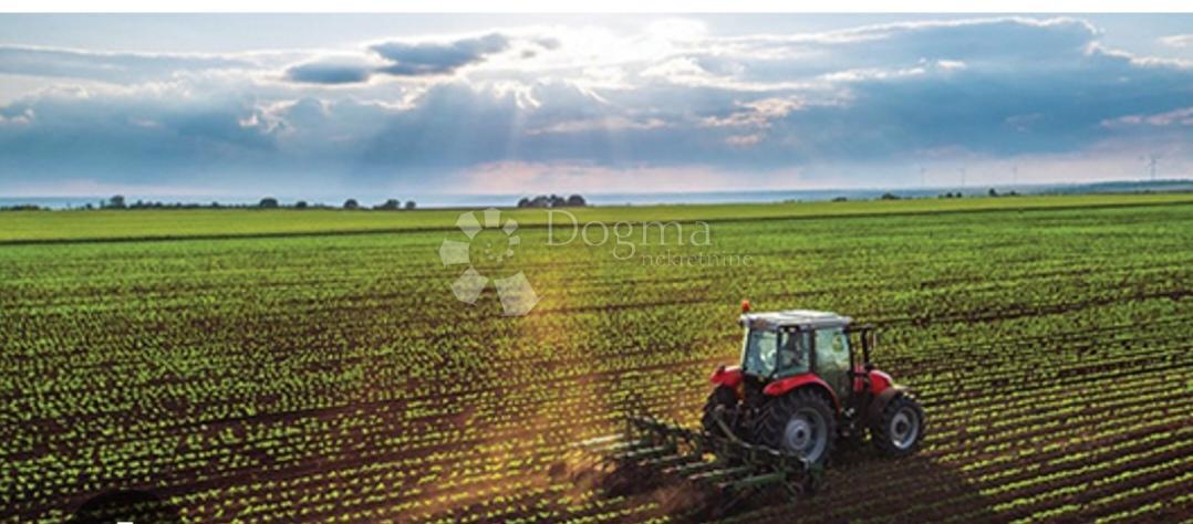 Kmetijsko zemljišče Centar, Vukovar, 4.600m2