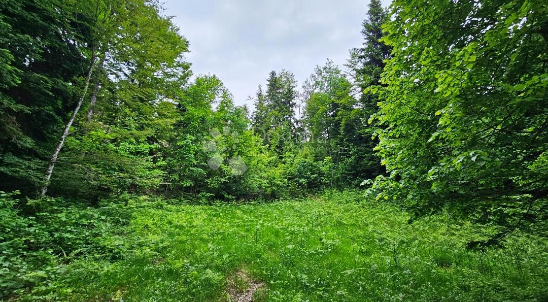Hiša Jablan, Vrbovsko, 55m2