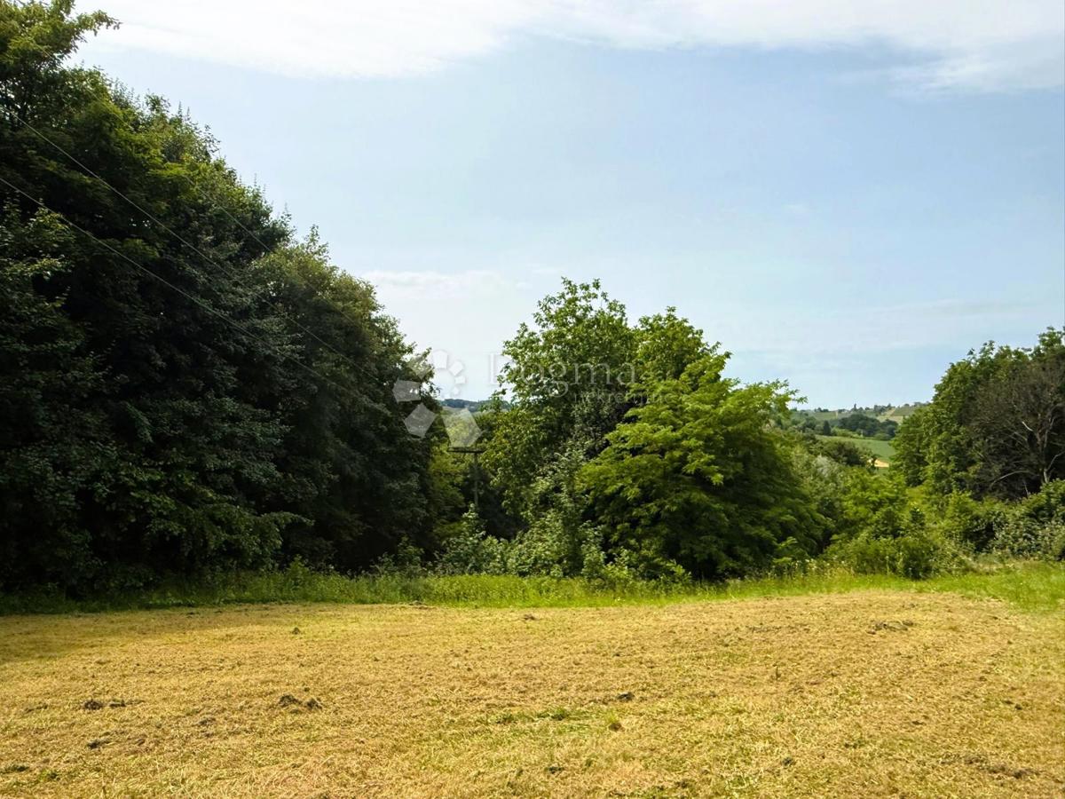 Kmetijsko zemljišče Bukovec, Selnica, 1.346m2