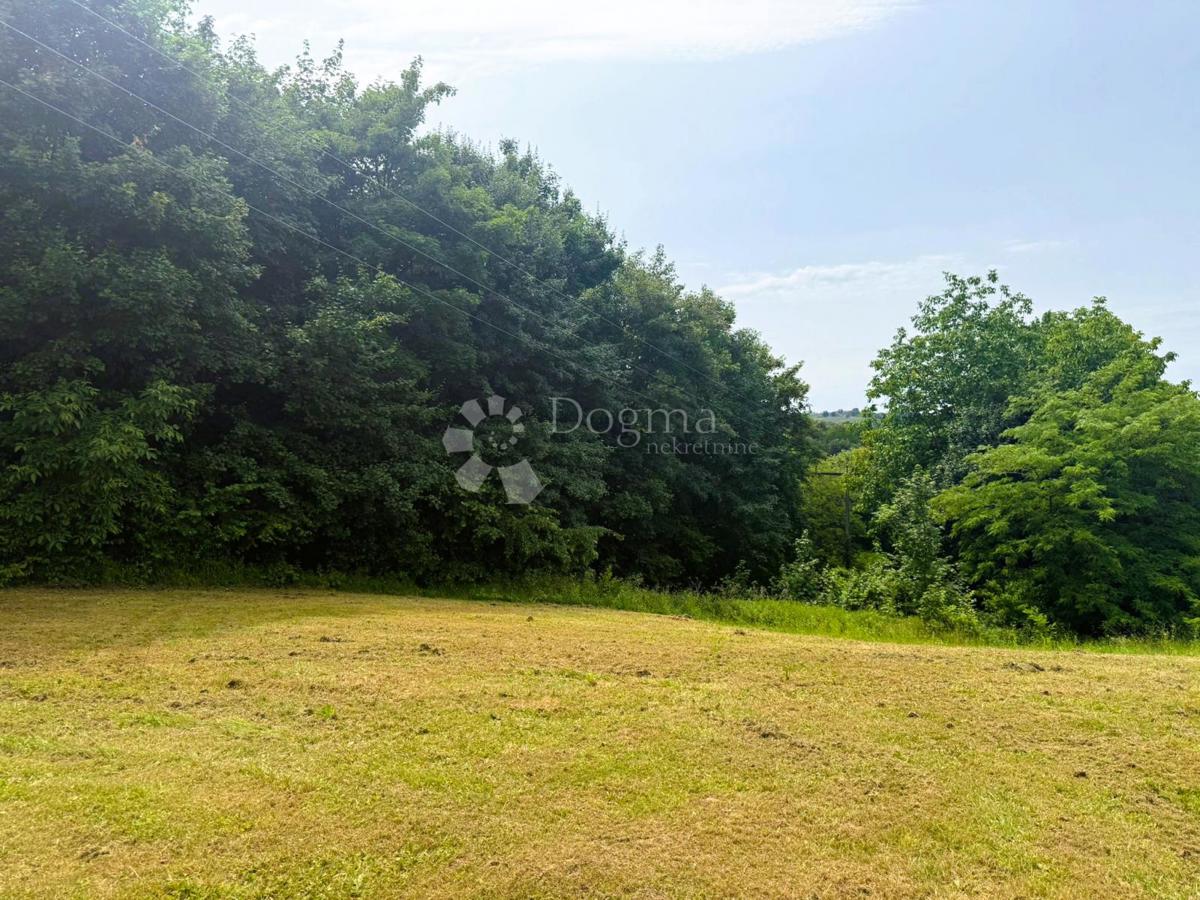 Kmetijsko zemljišče Bukovec, Selnica, 1.346m2