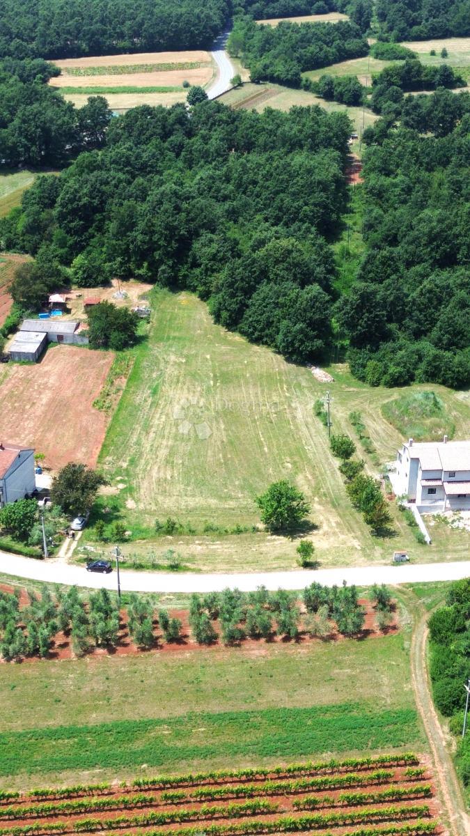 Zazidljivo zemljišče Barban, 797m2