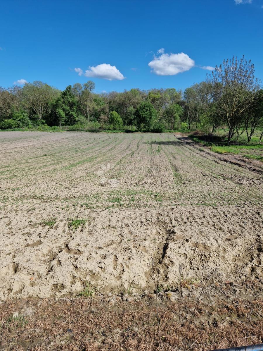 Zazidljivo zemljišče Lug, Bilje, 3.455m2