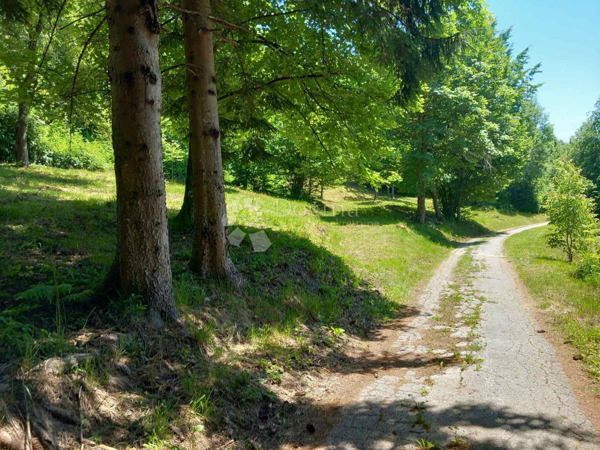 Kmetijsko zemljišče Kamensko, Vrbovsko, 7.176m2