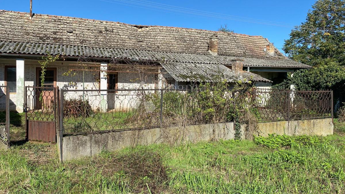 Hiša Topolje, Draž, 130m2
