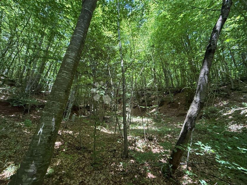Hiša Brušane, Gospić - Okolica, 200m2