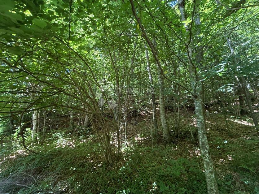 Hiša Brušane, Gospić - Okolica, 200m2
