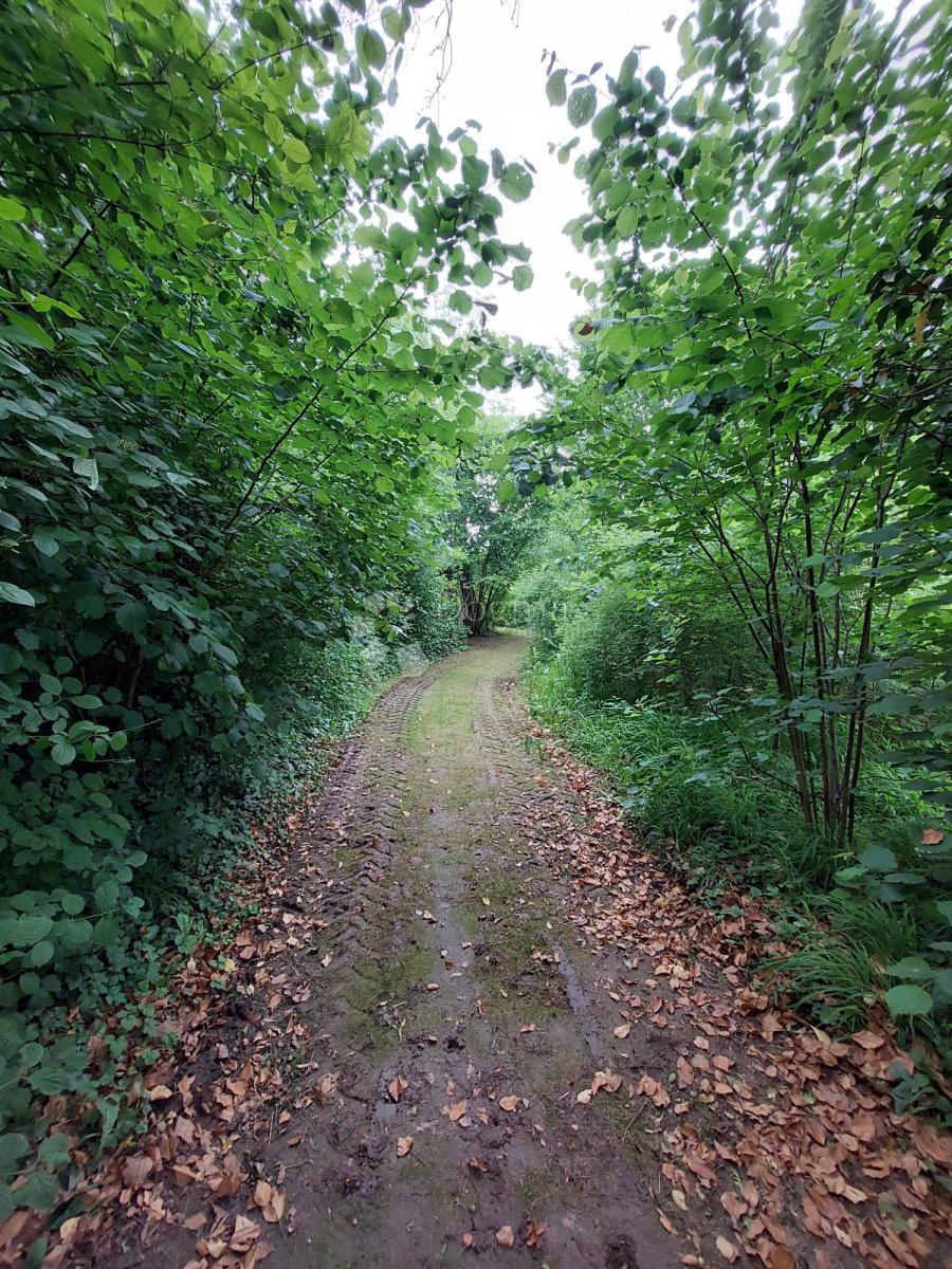 Hiša Suvoj, Sisak - Okolica, 252m2