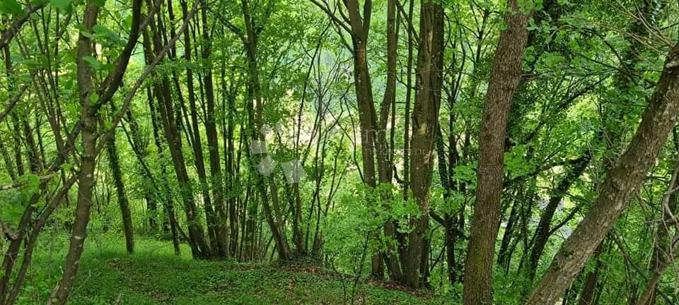 Kmetijsko zemljišče Gradišće, Samobor, 1.600m2