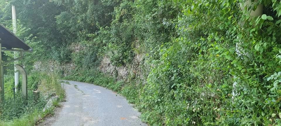 Kmetijsko zemljišče Gradišće, Samobor, 1.600m2