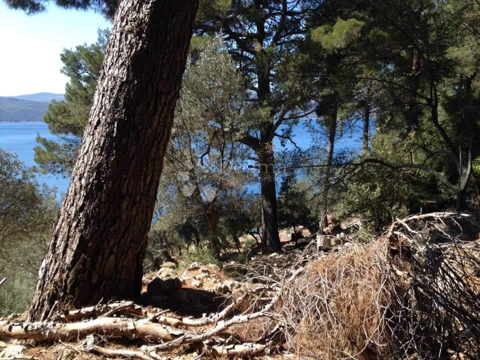 Kmetijsko zemljišče Cres, 6.280m2