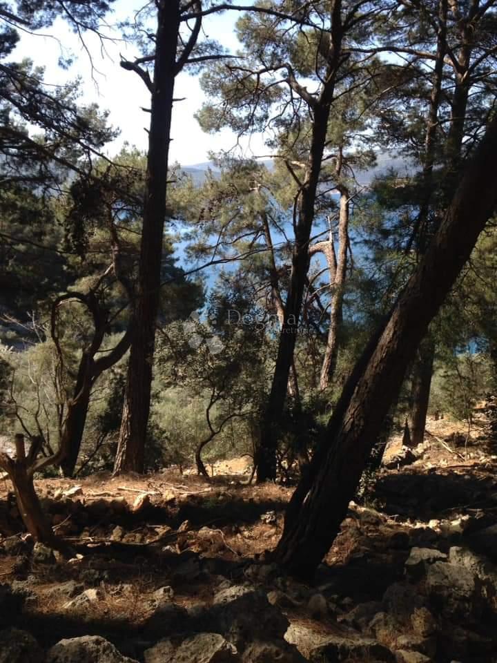 Kmetijsko zemljišče Cres, 6.280m2