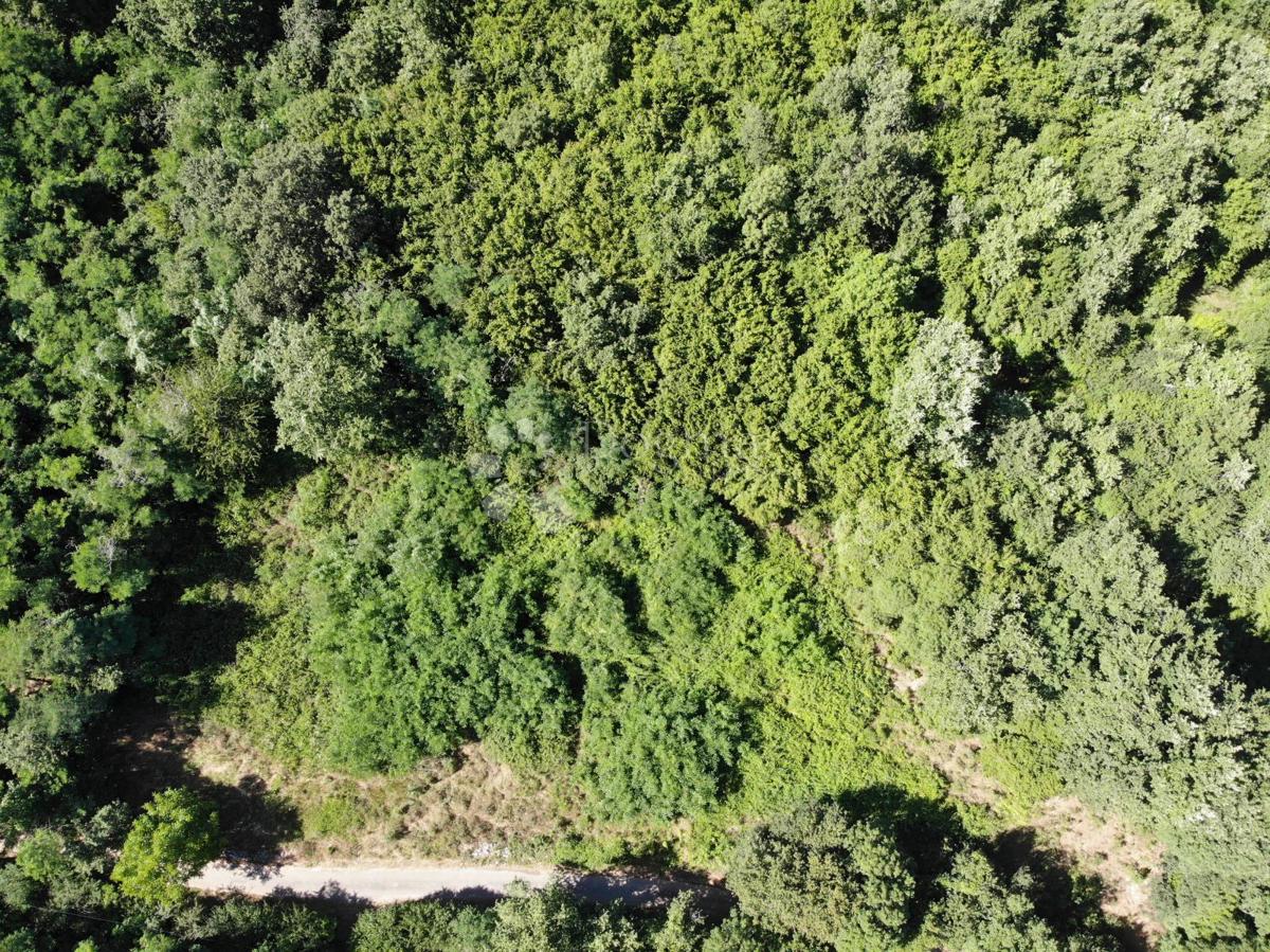 Zazidljivo zemljišče Poreč, 1.033m2