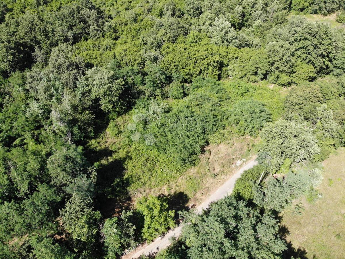 Zazidljivo zemljišče Poreč, 1.033m2