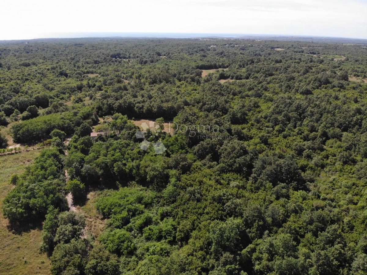 Zazidljivo zemljišče Poreč, 1.033m2