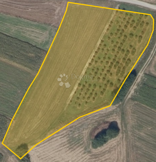 Kmetijsko zemljišče Kelemen, Jalžabet, 4.489m2