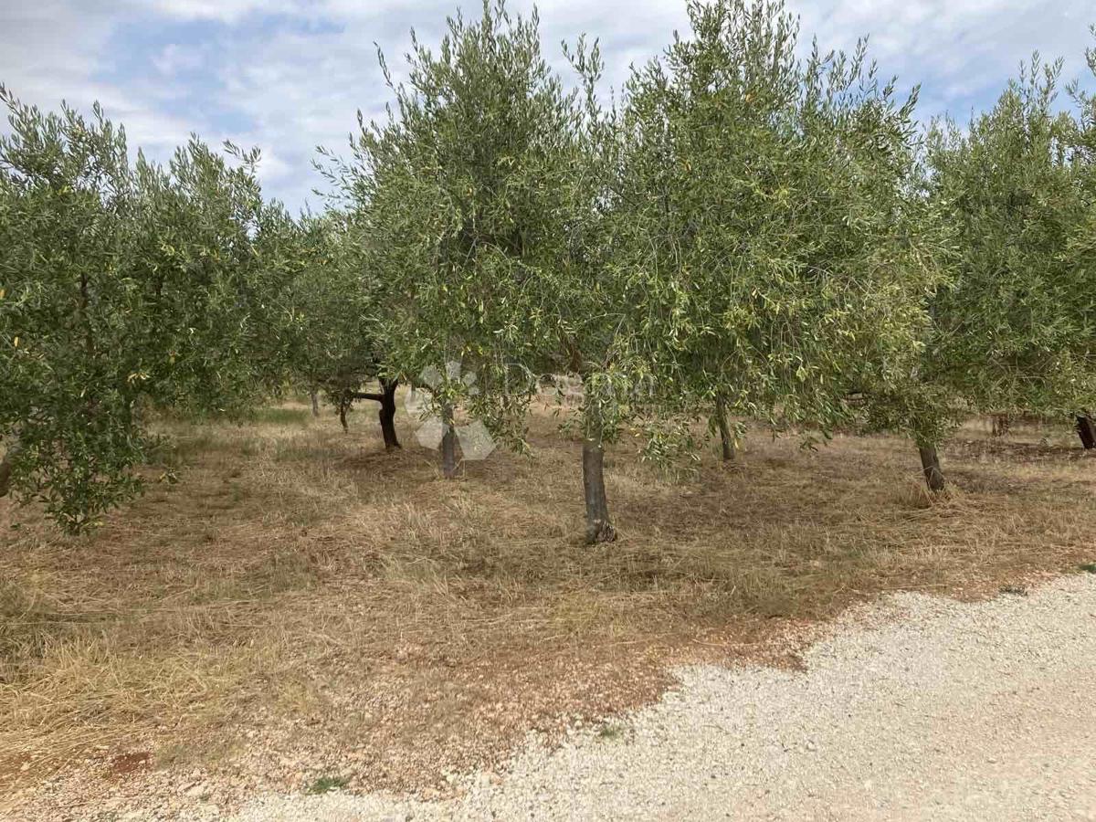 Kmetijsko zemljišče Kaštelir, Kaštelir-Labinci, 1.277m2