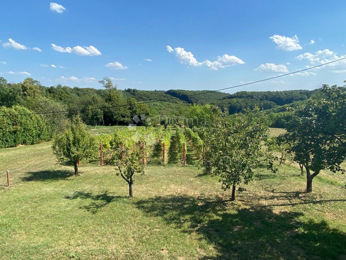 Hiša Moslavačka Slatina, Popovača, 1.353m2