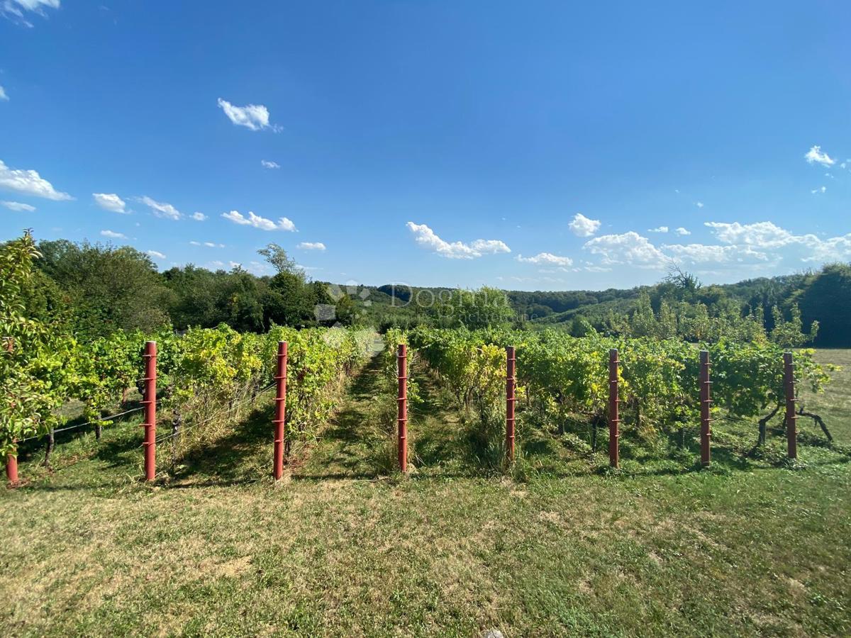 Hiša Moslavačka Slatina, Popovača, 1.353m2