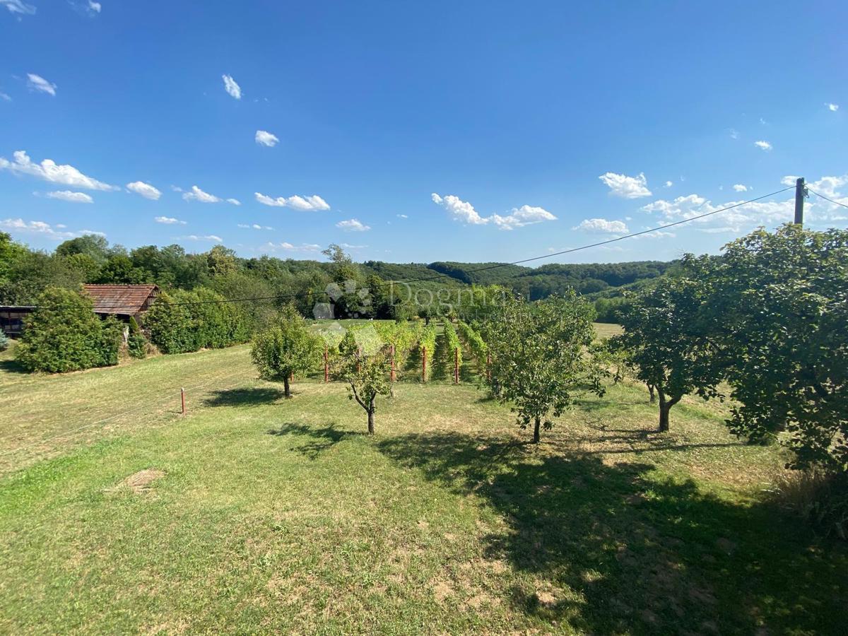 Hiša Moslavačka Slatina, Popovača, 1.353m2
